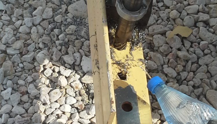 neginomran.com-brace-112