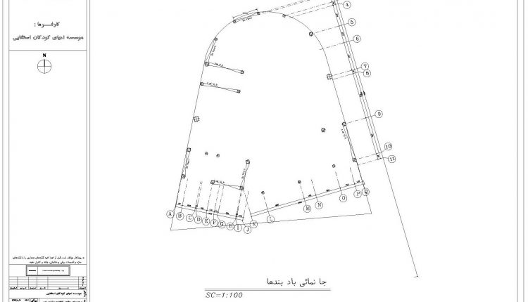 neginomran.com-brace-138